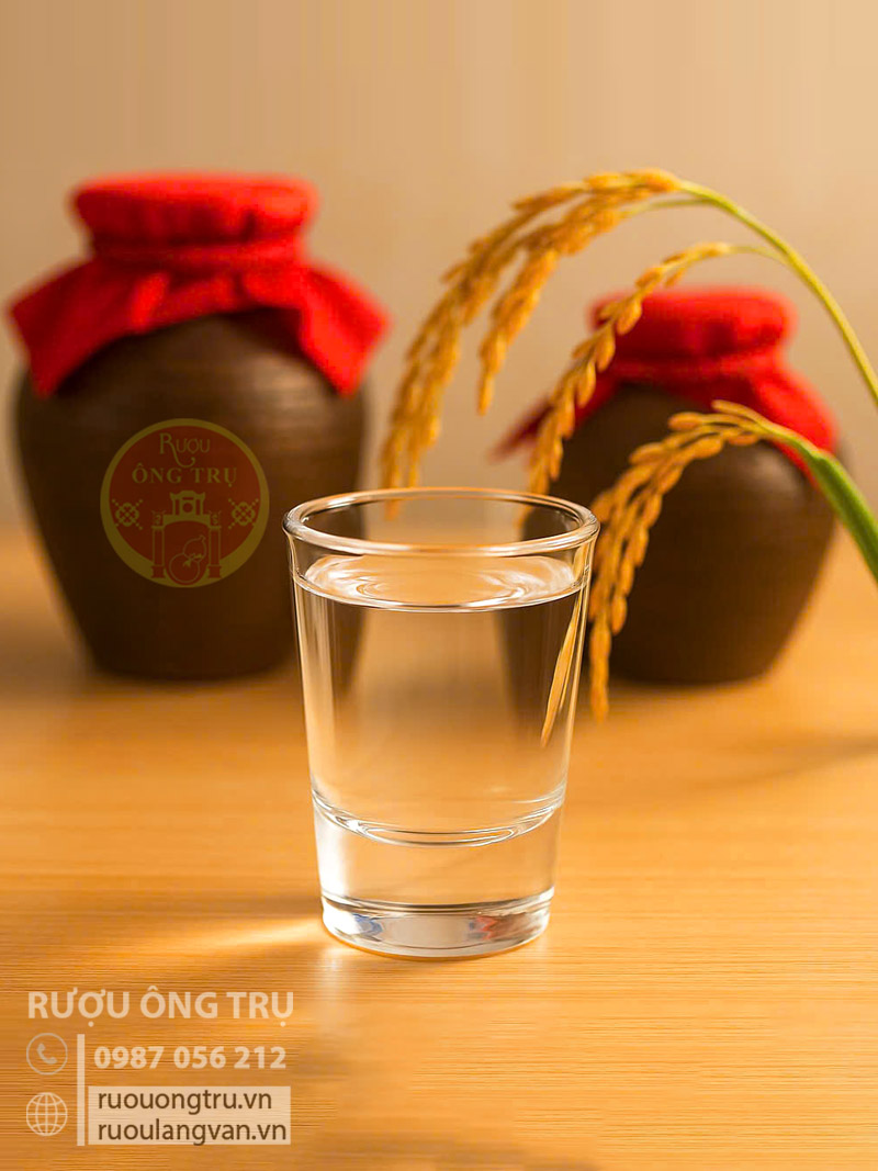 Rượu nếp cái hoa vàng loại trắng 40 độ, 45 độ, 50 độ